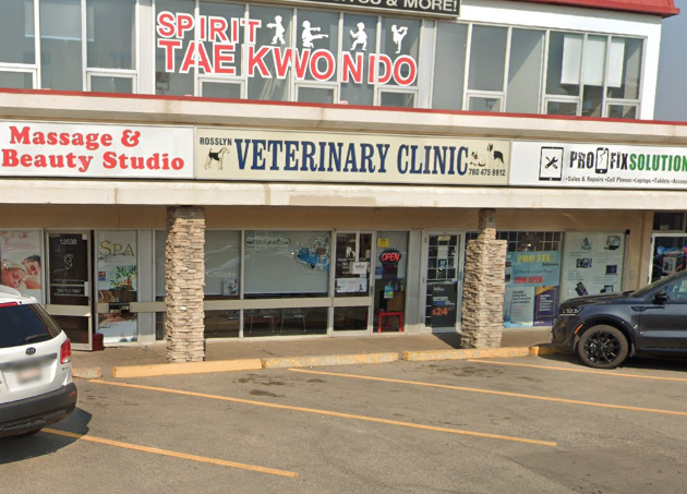 Rosslyn Veterinary Clinic storefront on 97 Street NW